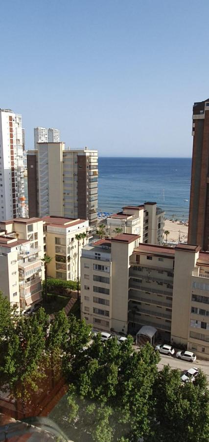 Mediterraneo 43 Benidorm Eksteriør bilde